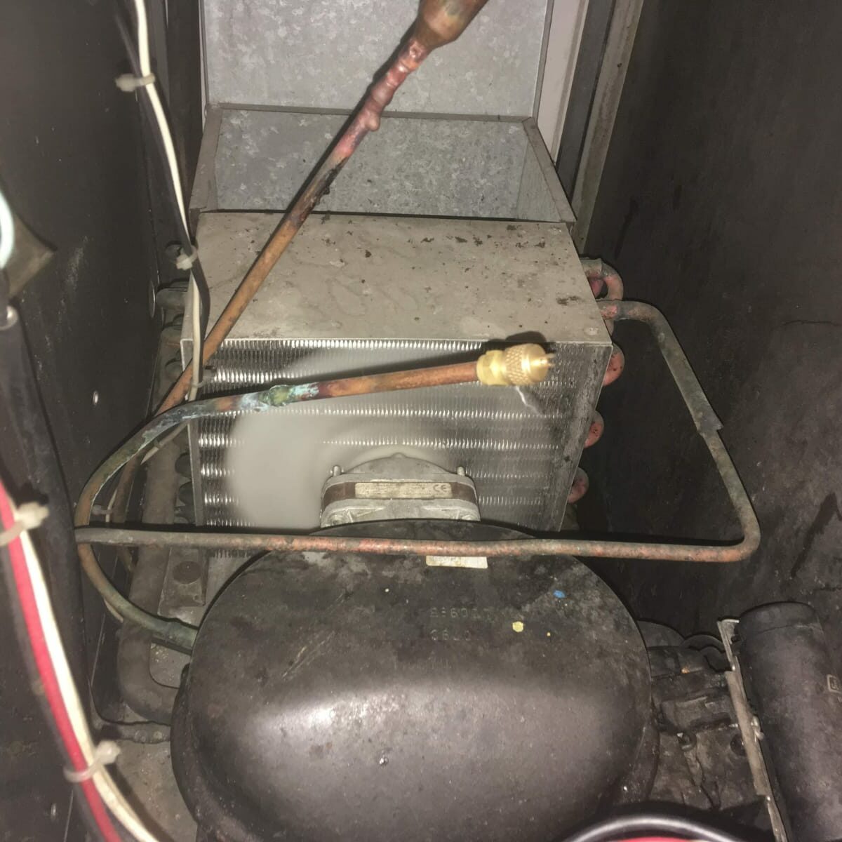 74421cd1-8d6e-46f2-98da-cf206b1c814d 74421cd1-8d6e-46f2-98da-cf206b1c814d