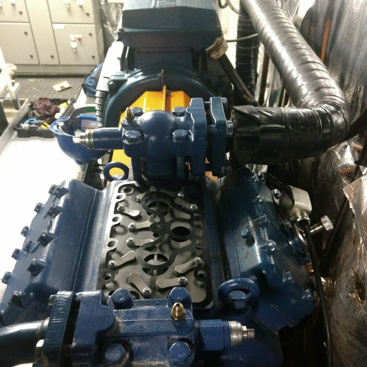 919cdae0-5136-400d-826b-6e6085d9e9a5 919cdae0-5136-400d-826b-6e6085d9e9a5