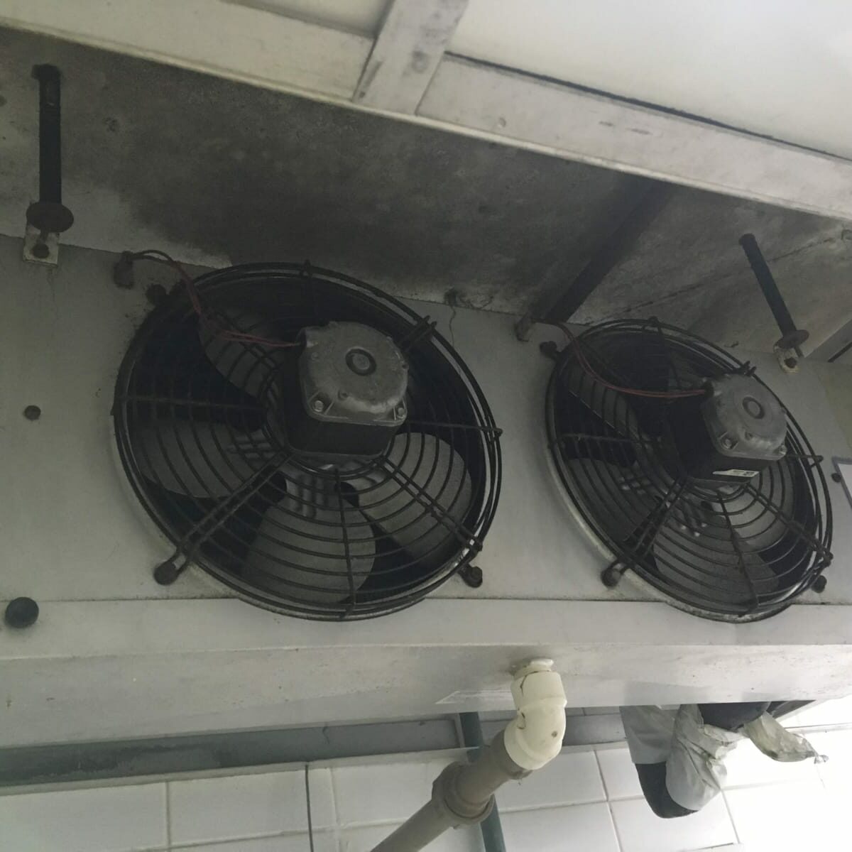 93edb0d8-15f0-424b-962f-40b0721f7555 93edb0d8-15f0-424b-962f-40b0721f7555